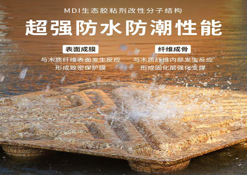 模壓托盤的實用性與環保性